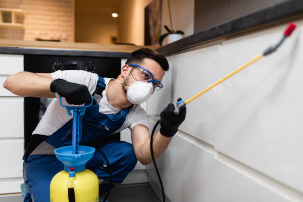 Best Pest Control Near Me  in St Clair, MI