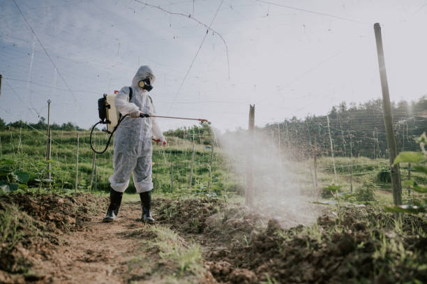 Best Local Pest Control Services  in St Clair, MI