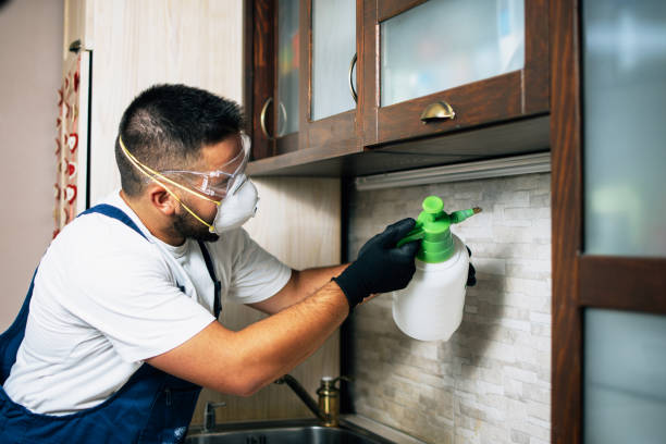 Best Affordable Pest Control Services  in St Clair, MI