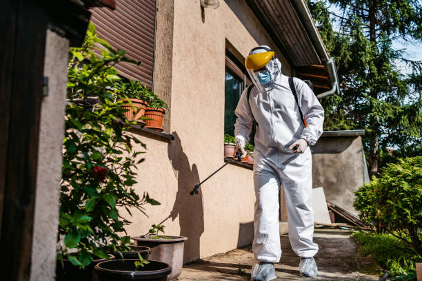 Best Wasp Removal Services  in St Clair, MI