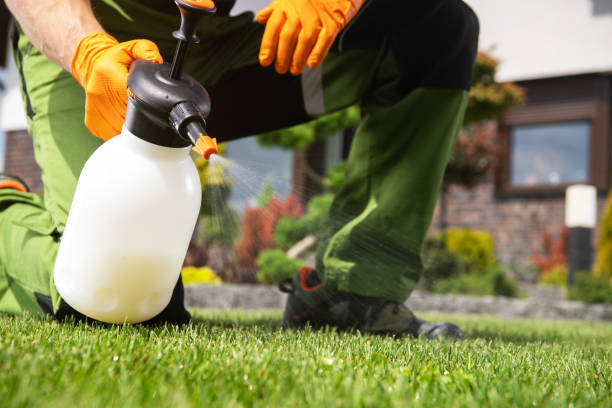 Professional Pest Control in St Clair, MI