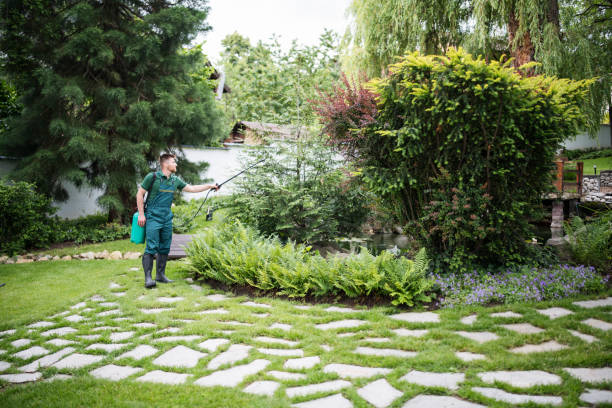 Best Pest Removal Services  in St Clair, MI