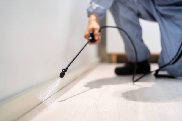 Wasp Removal Services in St Clair, MI