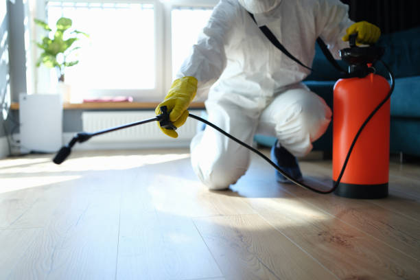 Best Affordable Pest Control Services  in St Clair, MI