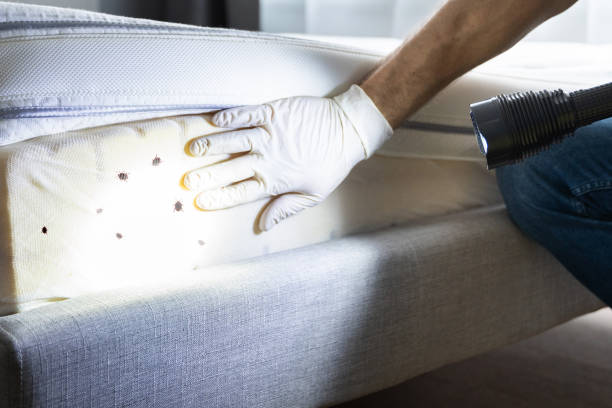 Best Cockroach Control Services  in St Clair, MI