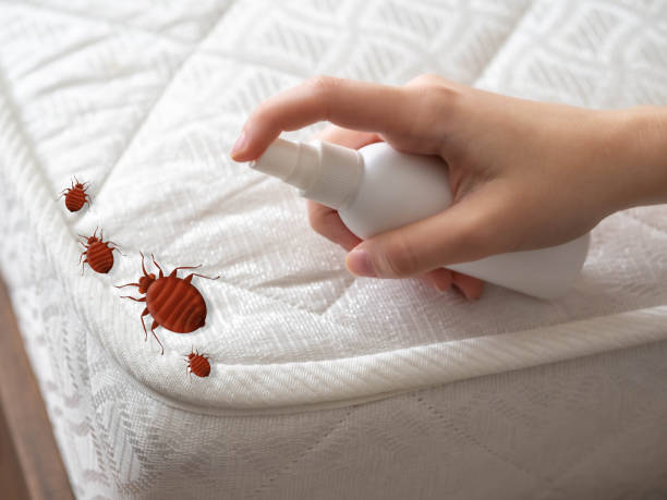 Best Best Pest Control Companies  in St Clair, MI