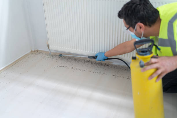 Best Mosquito Control Services  in St Clair, MI