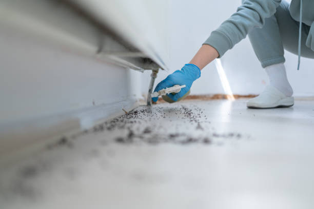 Best Emergency Pest Control  in St Clair, MI