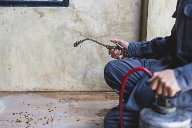 Best Pest Control for Homes  in St Clair, MI